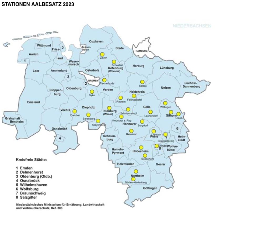 In 13 Landkreisen fand der Aalbesatz statt: Gelber Punkt= An diesen Orten wurden Aale mithilfe lokaler Angelvereine in geeignete Gewässer verteilt (nicht maßstabsgetreu). ©niedersachsen.de (modifiziert)