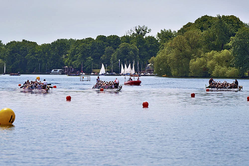 Drachenbootrennen auf dem Maschsee in Hannover beim Drachenbootfestival 2023 © Ulrich Stamm