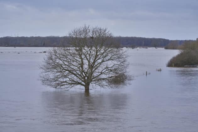 Ministerpräsident Stephan Weil informiert sich zum Hochwasser und Überschwemmungen der Aller in der Region Heidekreis nach tagelangen starken Regenfällen - in Hodenhagen © Ulrich Stamm