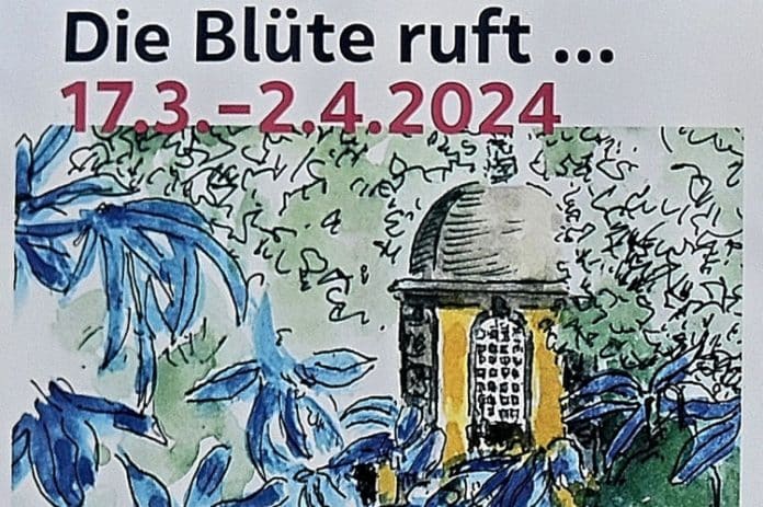 Die Scilla-Blüte zieht auch in diesem Jahr wieder viele HannoveranerInnen in ihren Bann und auf den Lindener Berg