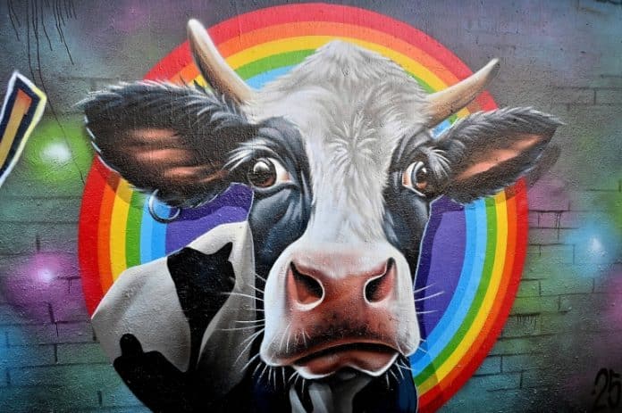 Das freiLand Potsdam ist die größte Graffiti Hall Brandenburgs. Die Wände dürfen hier legal besprüht werden