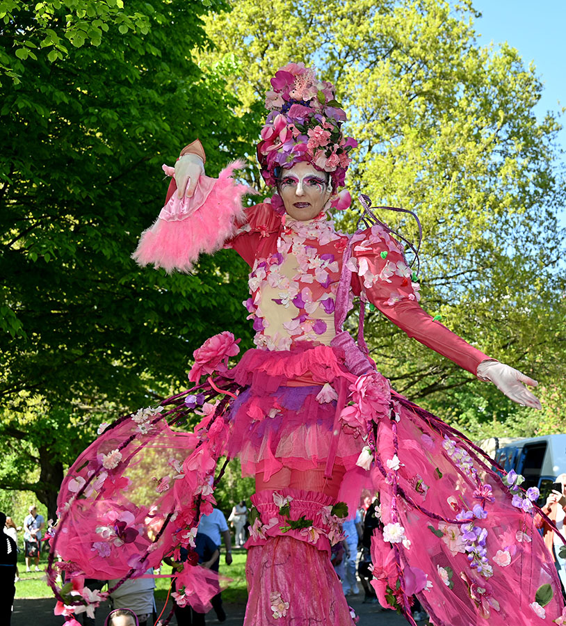 DSC 3376