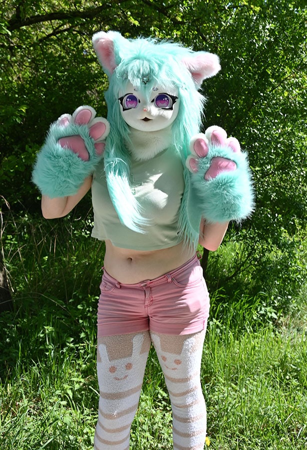DSC 3410