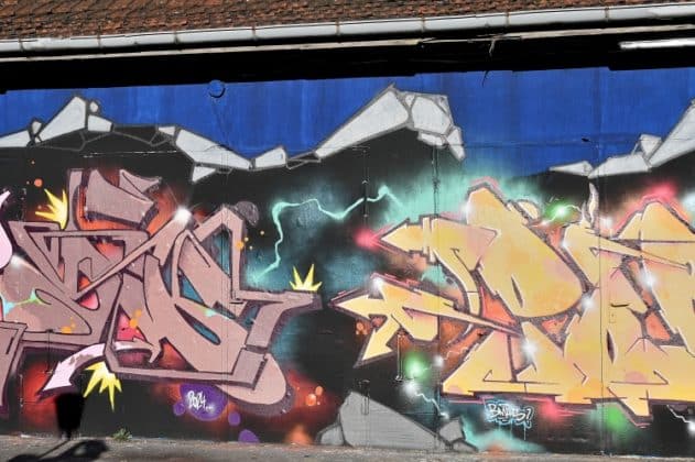 NIKON Z 6 2 DSC 8612