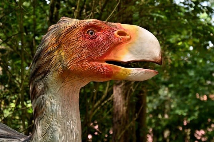 Der Dinosaurier-Park Münchehagen ist ein Freilichtmuseum in Münchehagen, einem Stadtteil von Rehburg-Loccum in Niedersachsen