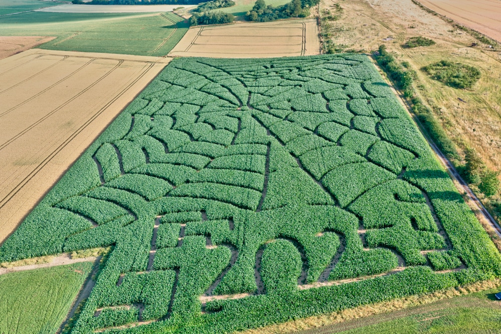 Luftbild Maislabyrinth der Firma Klockemann Landwirtschaft GbR in Bad Münder / Niedersachsen © Ulrich Stamm