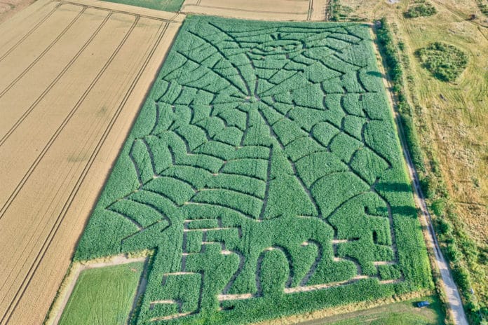 Luftbild Maislabyrinth der Firma Klockemann Landwirtschaft GbR in Bad Münder / Niedersachsen © Ulrich Stamm