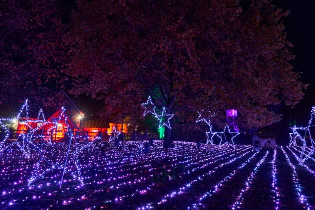 Eroeffnung Christmas Garden 2025 Hannover US 2025 11 20 101