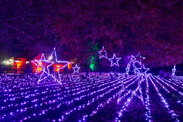 Eroeffnung Christmas Garden 2025 Hannover US 2025 11 20 102