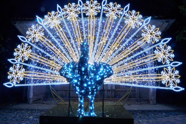 Eroeffnung Christmas Garden 2025 Hannover US 2025 11 20 97