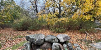 Ein urgeschichtliches Steingrab mitten in Hannover Das Steinkistengrab von Anderlingen steht heute vor dem Landesmuseum in Hannover
