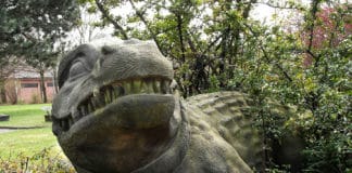 Zwei Monster-Echsen wachen an der Lindemannallee Krokodil in der Südstadt