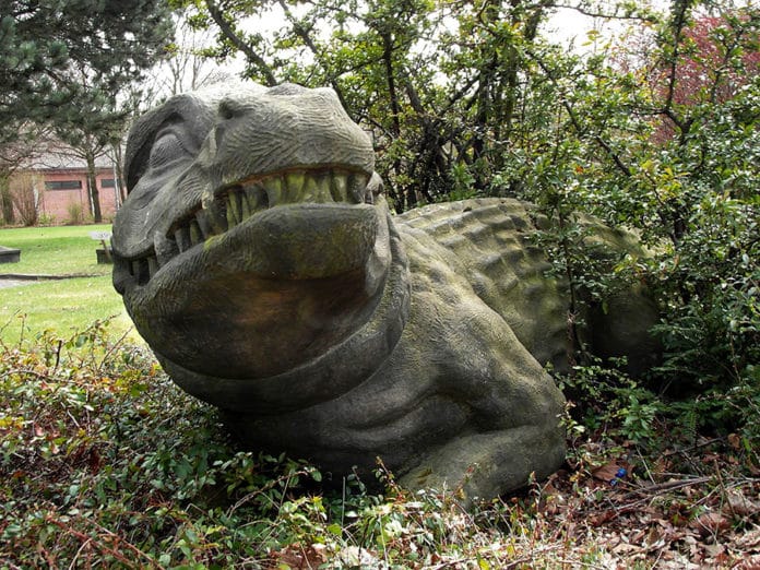 Krokodil in der Südstadt