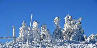 Wenn Väterchen Frost zum Künstler wird Auf dem Brocken haben Frost und Eis bizarre Landschaften erschaffen