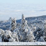 Wenn Väterchen Frost zum Künstler wird - Stadtreporter.de DSC 5884