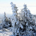 Wenn Väterchen Frost zum Künstler wird - Stadtreporter.de DSC 5893