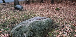 Der Felsbrocken vom Annateich reiste aus Südschweden an Findlinge am Annateich