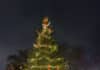 Am Weihnachtsbaum die Lichter brennen Christbaum auf dem Fiedelerplatz