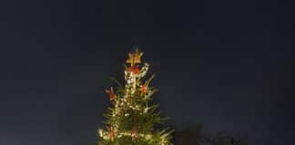 Christbaum auf dem Fiedelerplatz