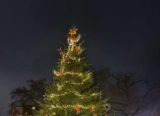 Am Weihnachtsbaum die Lichter brennen Christbaum auf dem Fiedelerplatz