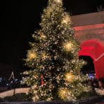 Potsdam: Winterzauber in historischer Kulisse - Stadtreporter.de IMG 2966