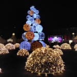 Potsdam: Winterzauber in historischer Kulisse - Stadtreporter.de SAM 0019