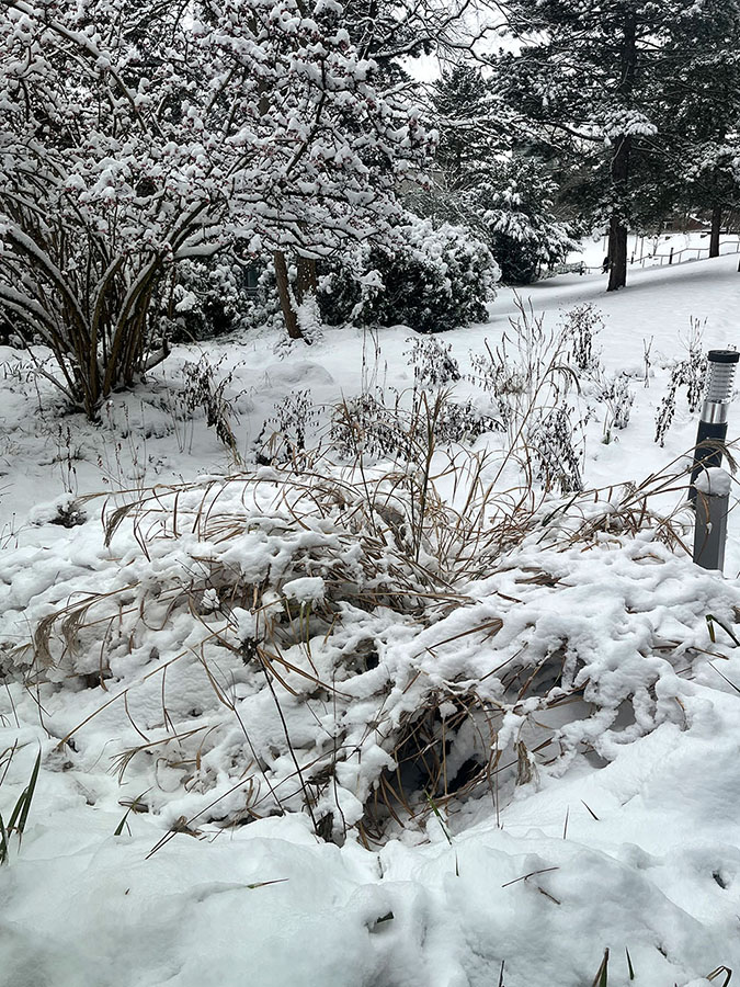 Hannover wurde zum Winterwunderland - Stadtreporter.de IMG 3115