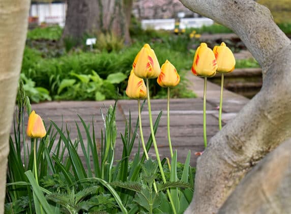 DSC 0009