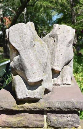 DSC 0031