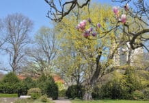 Der Stadtpark bleibt am kommenden Sonntag geschlossen Am kommenden Sonntag, 19. April, ist der hannoversche Stadtpark für Besucher geschlossen.