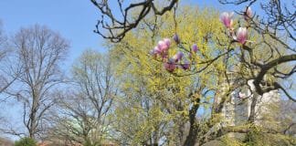 Der Stadtpark bleibt am kommenden Sonntag geschlossen Am kommenden Sonntag, 19. April, ist der hannoversche Stadtpark für Besucher geschlossen.