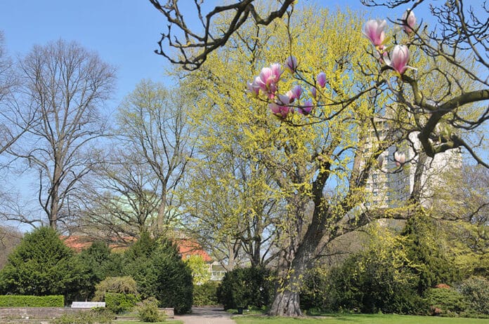 Am kommenden Sonntag, 19. April, ist der hannoversche Stadtpark für Besucher geschlossen.