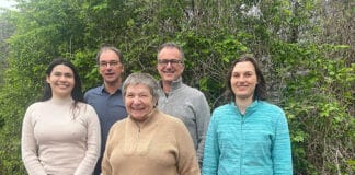 Der hannoversche Judo-Club Sakura wählte einen neuen Vorstand Von links nach rechts: hintere Reihe Matthias Kistmacher, Thomas Müting; vorne: Larissa Chazette, Nina Zachael, Charlotte Franke