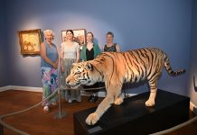 Im Landesmuseum treffen jetzt Zootiere und Kunst aufeinander Direktorin Katja Lembke mit ihren Mitarbeiterinnen in der neuen Ausstellung "Wechselwelten".