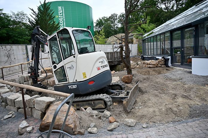 Das neue Schildkrötenhaus im Bau
