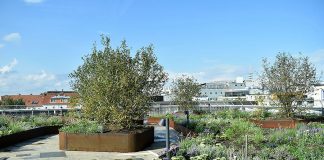 Blüten, Pflanzen, Dächer und die Kirchtürme der Altstadt: Von Hannovers neuer Gartenanlage gibt es phantastische Ausblicke Die neuen City Roof Walks auf dem Dach des Parkhauses Schmiedestraße
