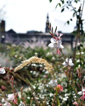 Im neuen City Roof Walk auf dem Dach des Parkhauses Schmiedestra&szlig;e