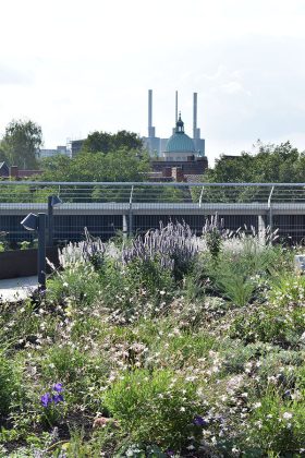Ausblicke vom neuen Dachgarten