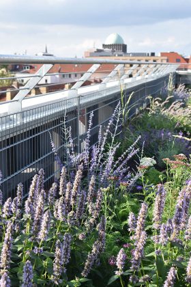 Im neuen City Roof Walk auf dem Dach des Parkhauses Schmiedestra&szlig;e