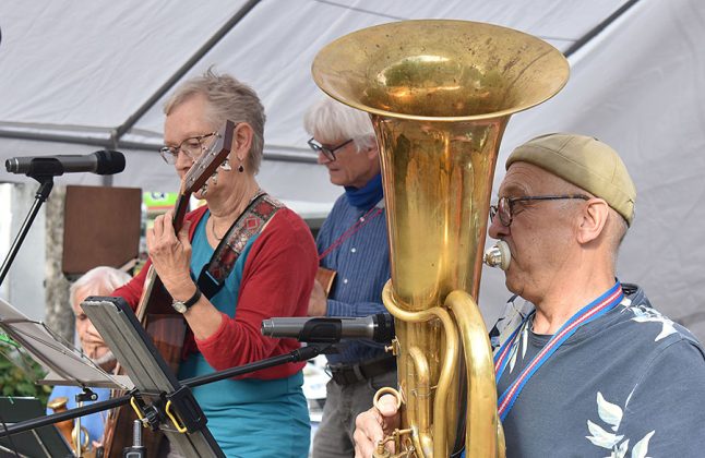 Die Band wachsMus spielte auf dem Fiedelerplatz