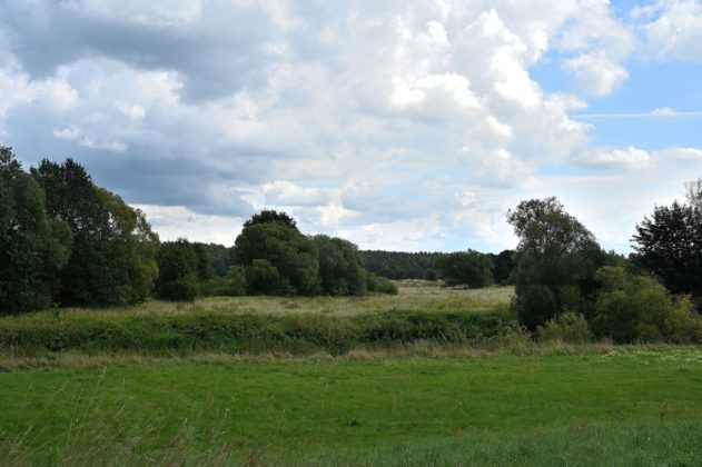 DSC 4562