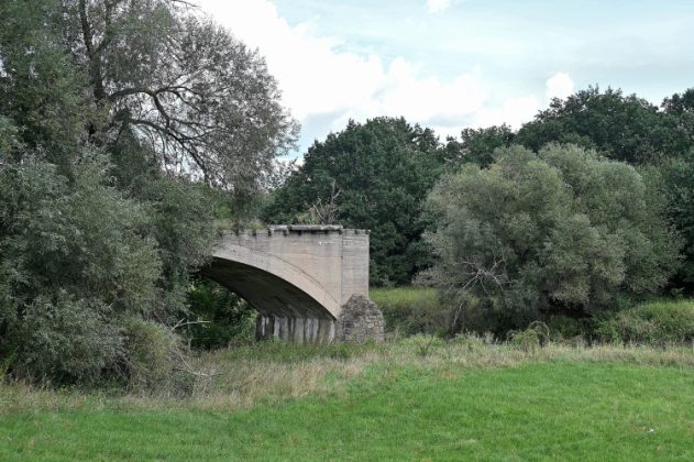 DSC 4563