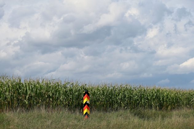 DSC 4595