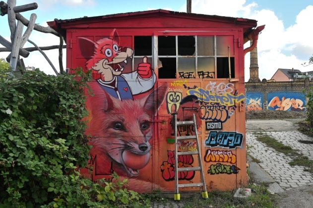 DSC 5317