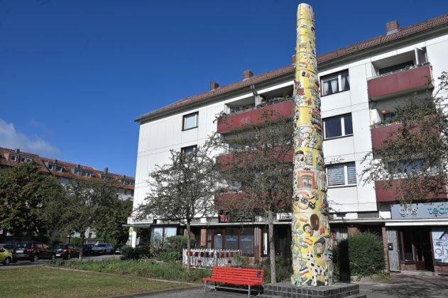 DSC 5542
