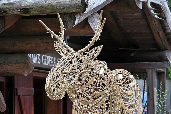 Ein Elch wird in Yukon Bay funkeln