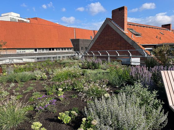 Im neuen City Roof Walk auf dem Dach des Parkhauses Schmiedestra&szlig;e