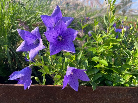 Im neuen City Roof Walk auf dem Dach des Parkhauses Schmiedestra&szlig;e