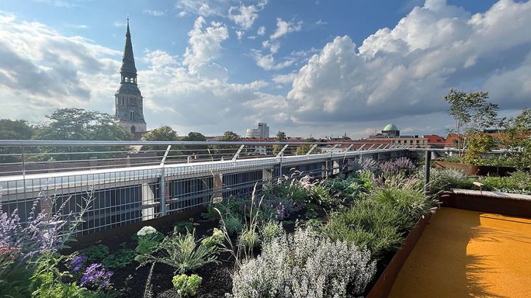 Ausblicke vom neuen Dachgarten