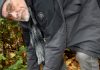 Der Heimatbund Niedersachsen ehrte Horst Dralle mit dem Borgentrickstein Horst Dralle verlegt symbolisch "seinen" Borgentrickstein am Döhrener Turm
